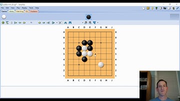 Go game - Ladders and Nets