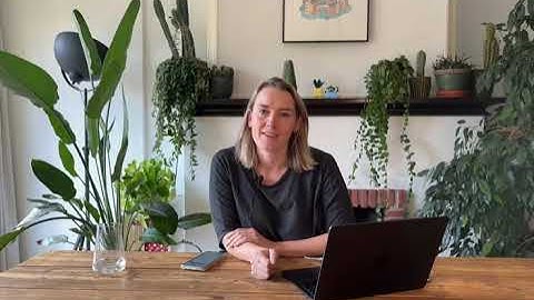 Using the Digital Credentials API with our EUDI Wallet Prototype