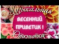 Весенний приветик 💐 🎶🤗 Шикарная музыкальная открытка с пожеланиями 👌✌️🌹для Вас 😍🤗🥰💐