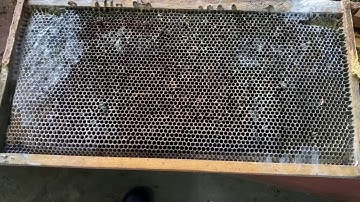 Moldy Frames: To Use Or Not To Use....