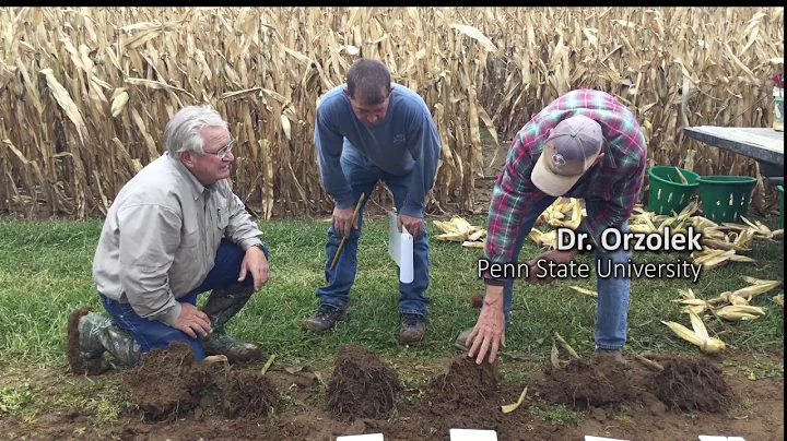 Penn State, SP-1 results on a corn trial
