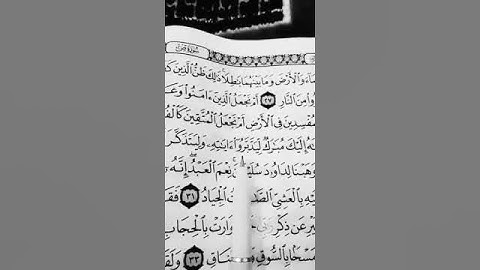 القران الكريم نور وشفاء القلوب تلاوات خاشعه (1)