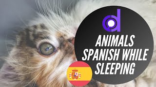 Animals - Spanish While you Sleep screenshot 3