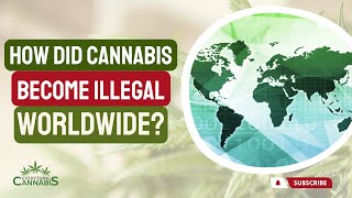 How Did Cannabis Become Illegal Worldwide? (Single Convention on Narcotics Treaty 1961) screenshot 5