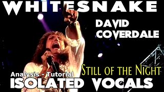 Whitesnake  Still Of The Night  David Coverdale  Isolated Vocals  Analysis and Tutorial