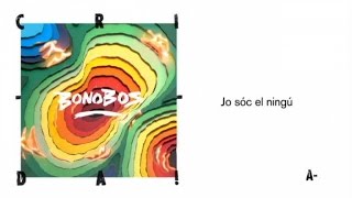 Video thumbnail of "Bonobos - El Ningú"