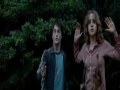 "I'll Stand By You" Harry Potter Music Video (Harry and Hermione as friends)