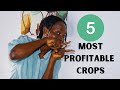 5 most PROFITABLE Cash crops in 2021 || Most profitable crop farm in Nigeria
