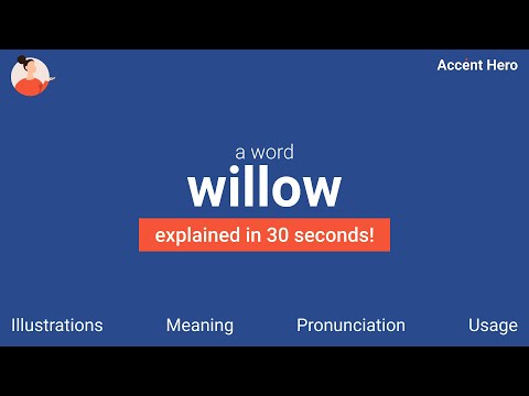 Willow - Meaning And Pronunciation