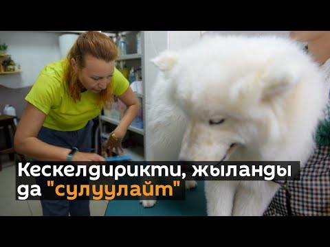 Video: Кофе ичүү кыйынчылыктары