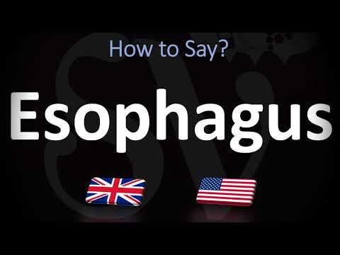 How to Pronounce Esophagus? (CORRECTLY)