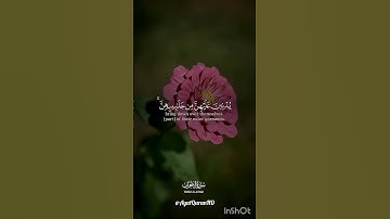 تلاوة خاشعة تريح القلب #قرآن #تلاوة_خاشعة #المصحف #tilawati354 #سورة_الأحزاب  #اكسبلور