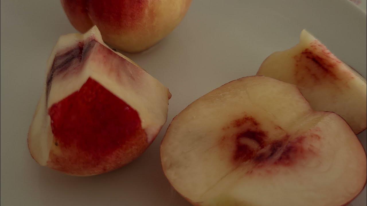 פרי האפרסק The peach fruit YouTube