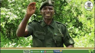 Zifahamu dalili za Tembo aliyekasirika