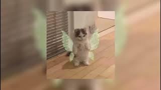 saat bahagia - ungu ( speed up )