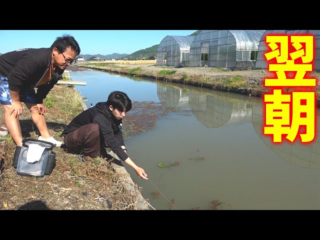 うなぎ　マル秘仕掛け うなぎ マル秘仕掛け