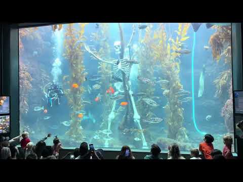 The Birch Aquarium