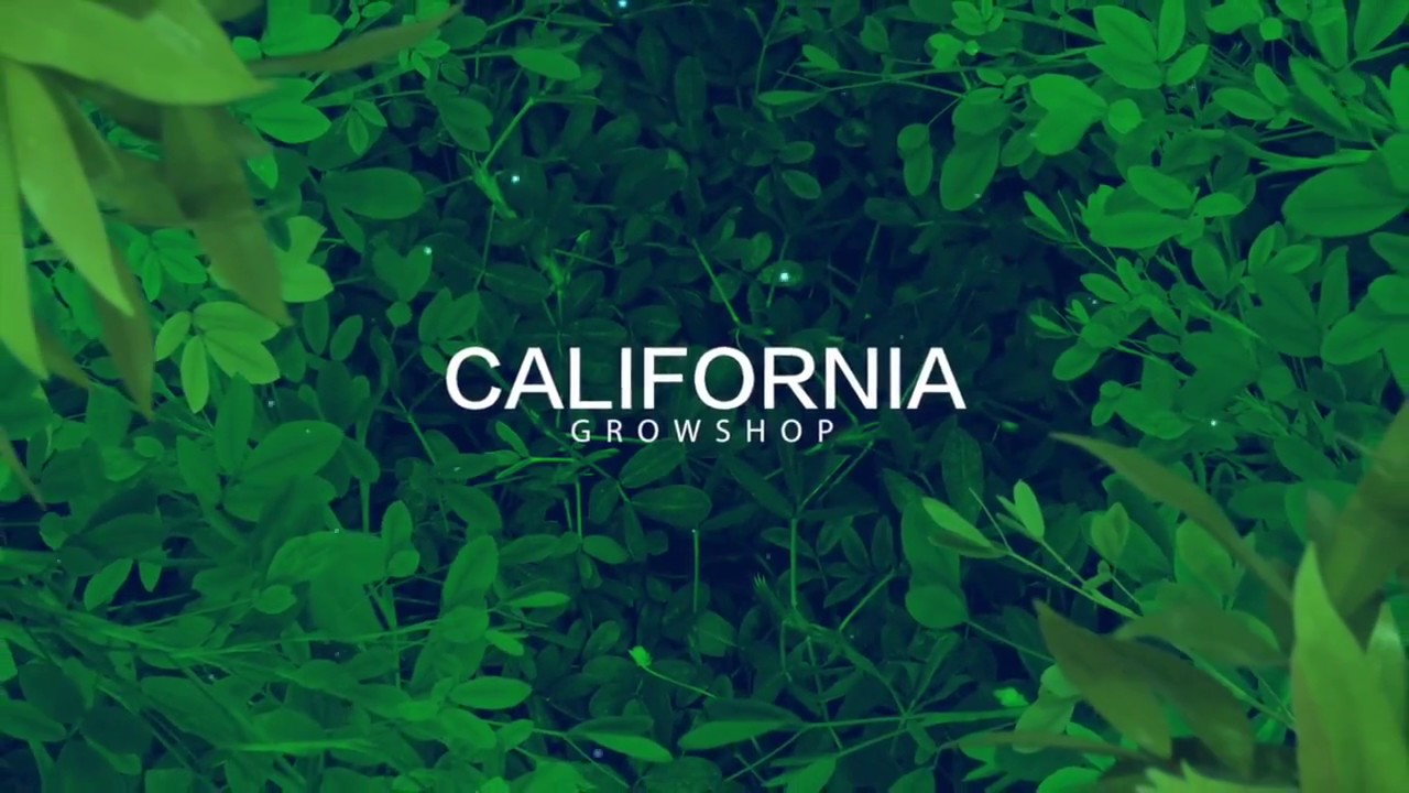 California Grow Shop