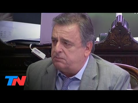 La emoción de Mario Negri al recordar a Raúl Alfonsín en la sesión de Diputados