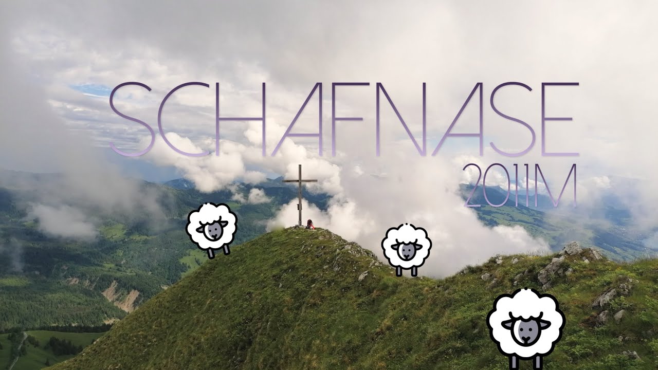 Schafnase 2011m | Short T4 Hike from Glaubenbielenpass | Giswilerstock Massif | Obwalden