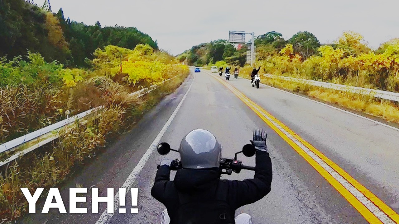 #11_From Fujieda City, Shizuoka Prefecture