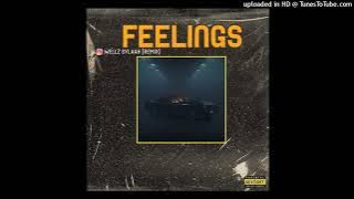 Ismuki ft. Shanty, BlackM, Bikoh - Feelings (WellZ Sylaah)
