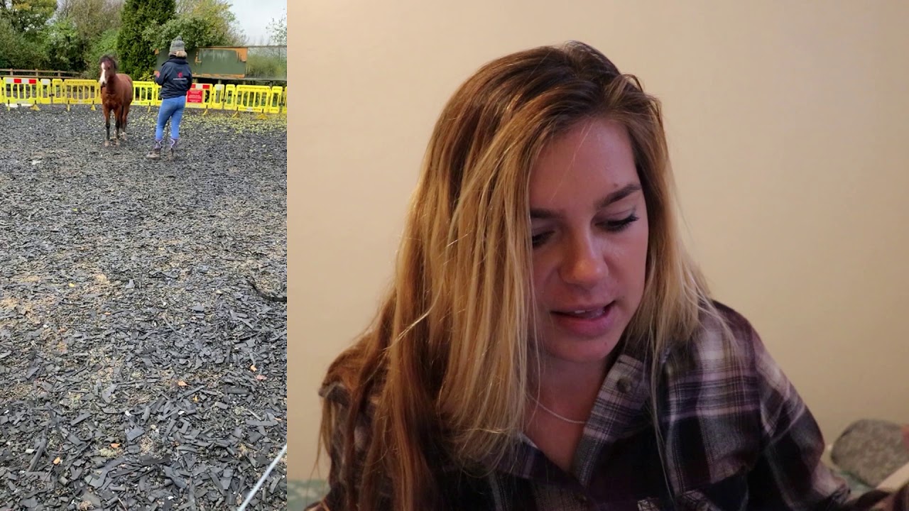 Groundwork Tips Cropped//Online Video Lesson (Bart)