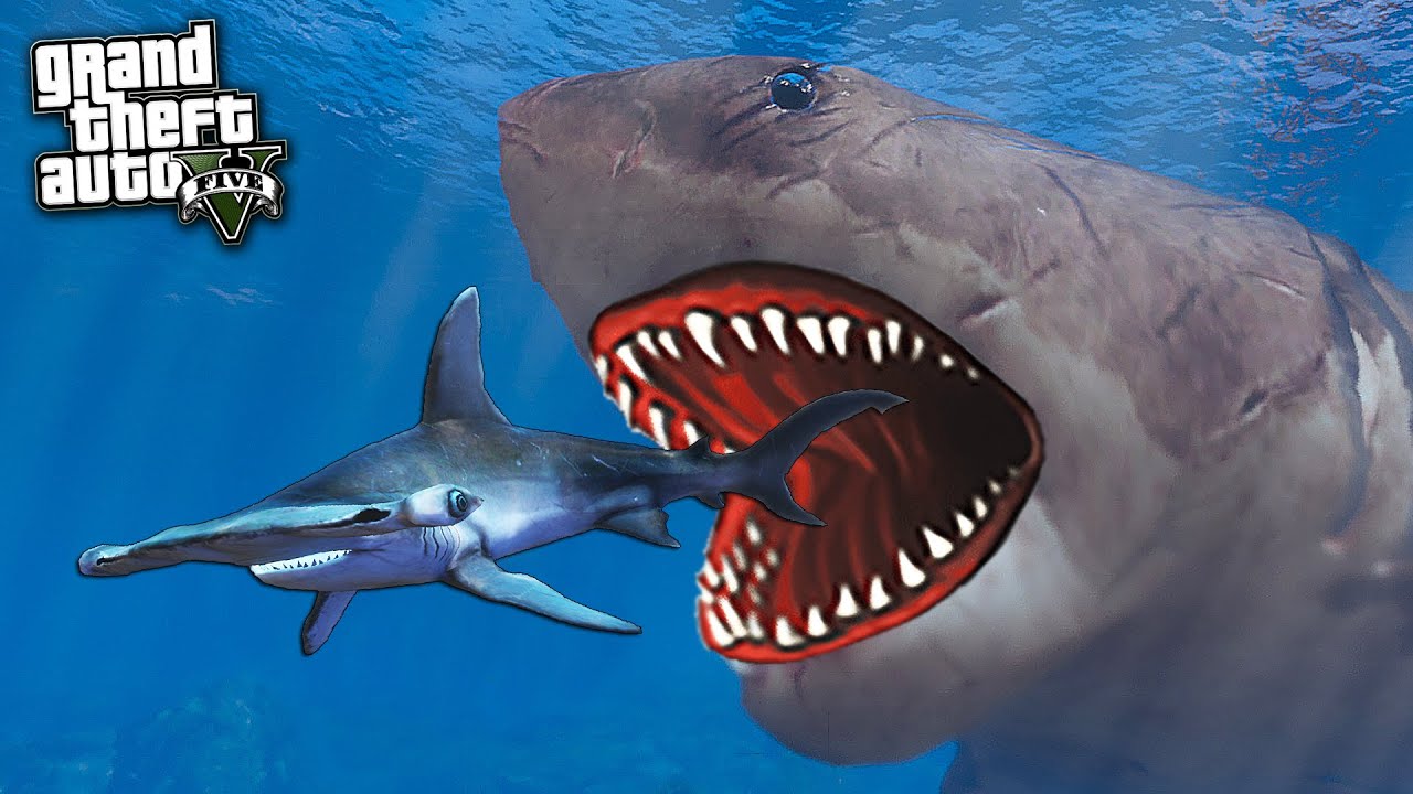 Кто скрывается под маской акулы в 5. Megalodon Shark GTA 5. МЕГАЛОДОН В ГТА 5. Акула МЕГАЛОДОН В ГТА 5. Акула ГТА 5.