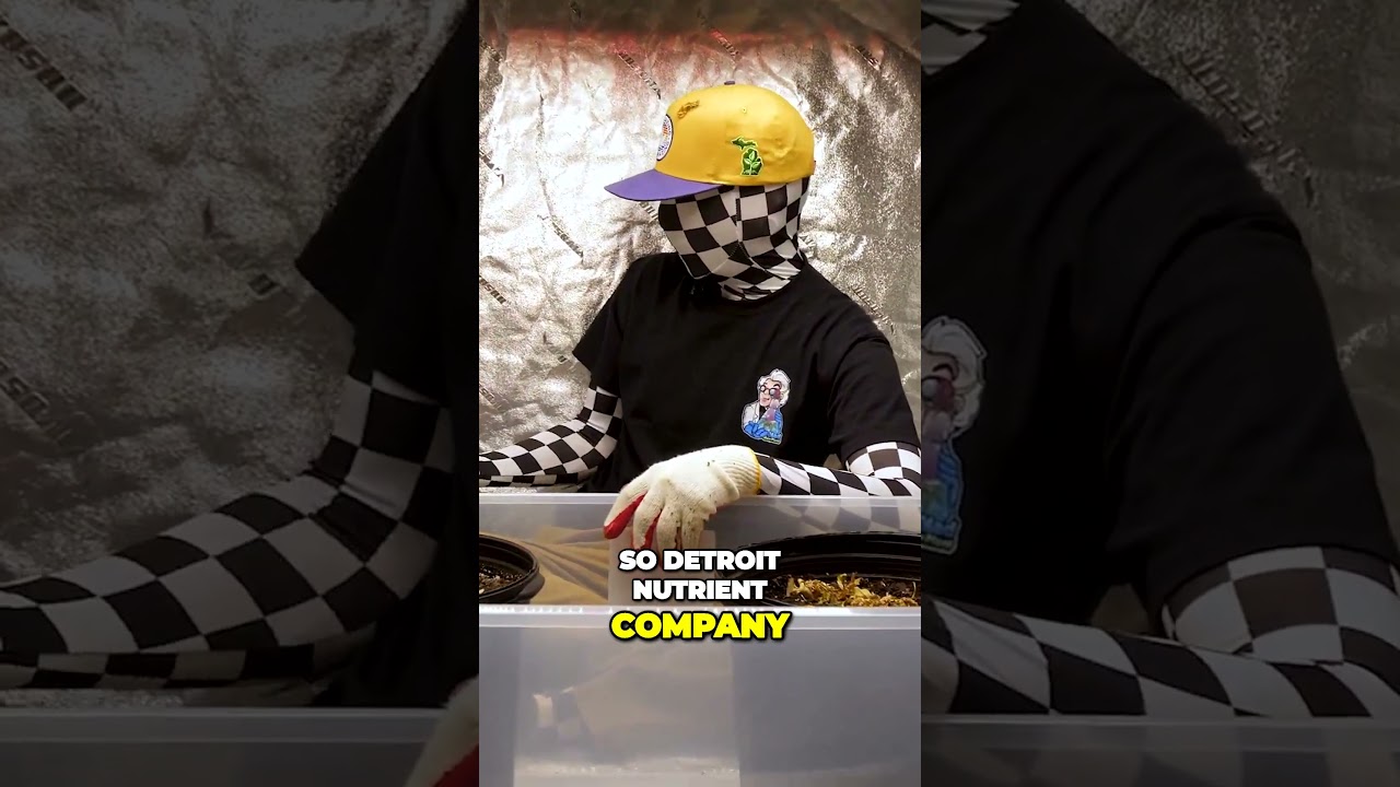 Supercharging Soil Detroit Nutrient Companys Secret for Healthy Plants