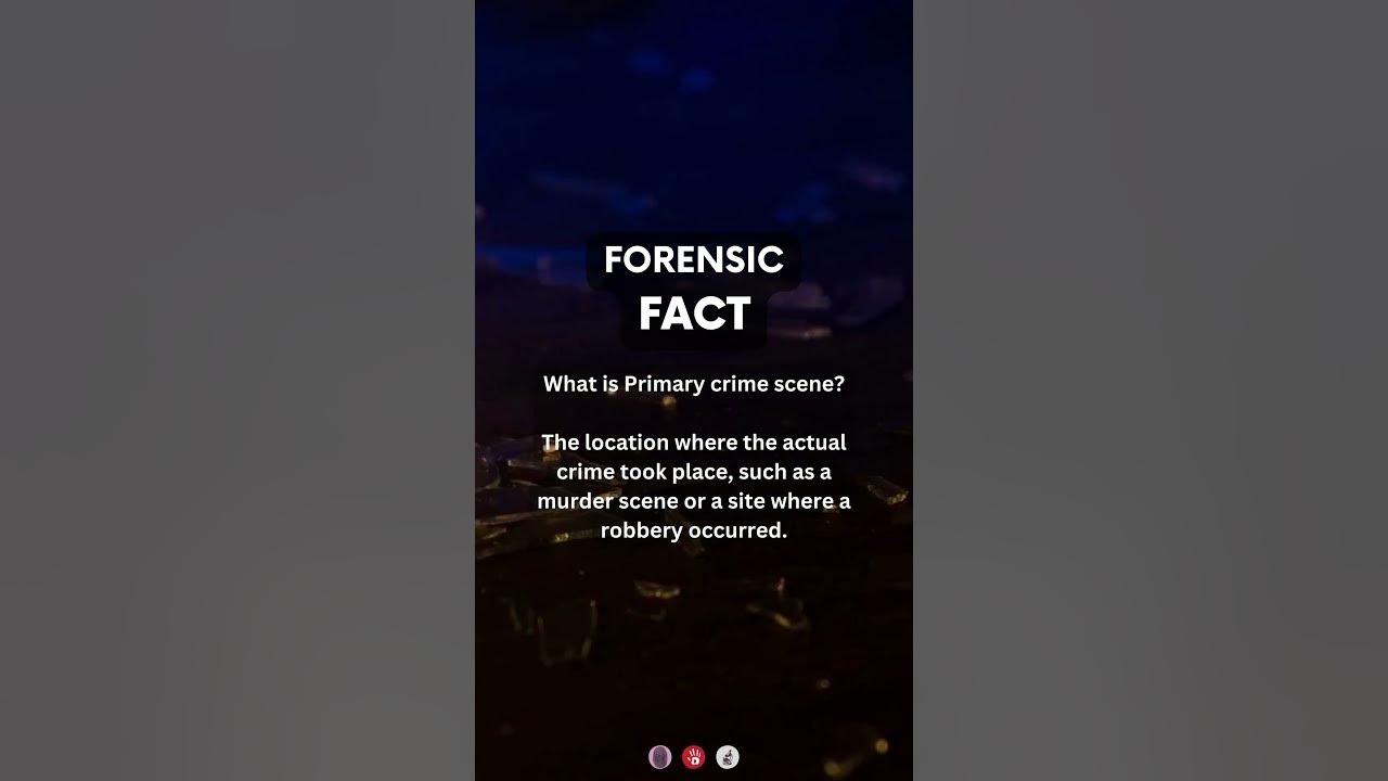 what-is-primary-crime-scene-forensicscience-forensics