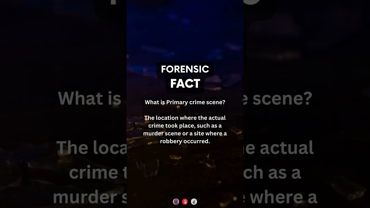 What Is Primary Crime Scene forensicscience forensics What Is Primary Crime Scene forensicscience forensics