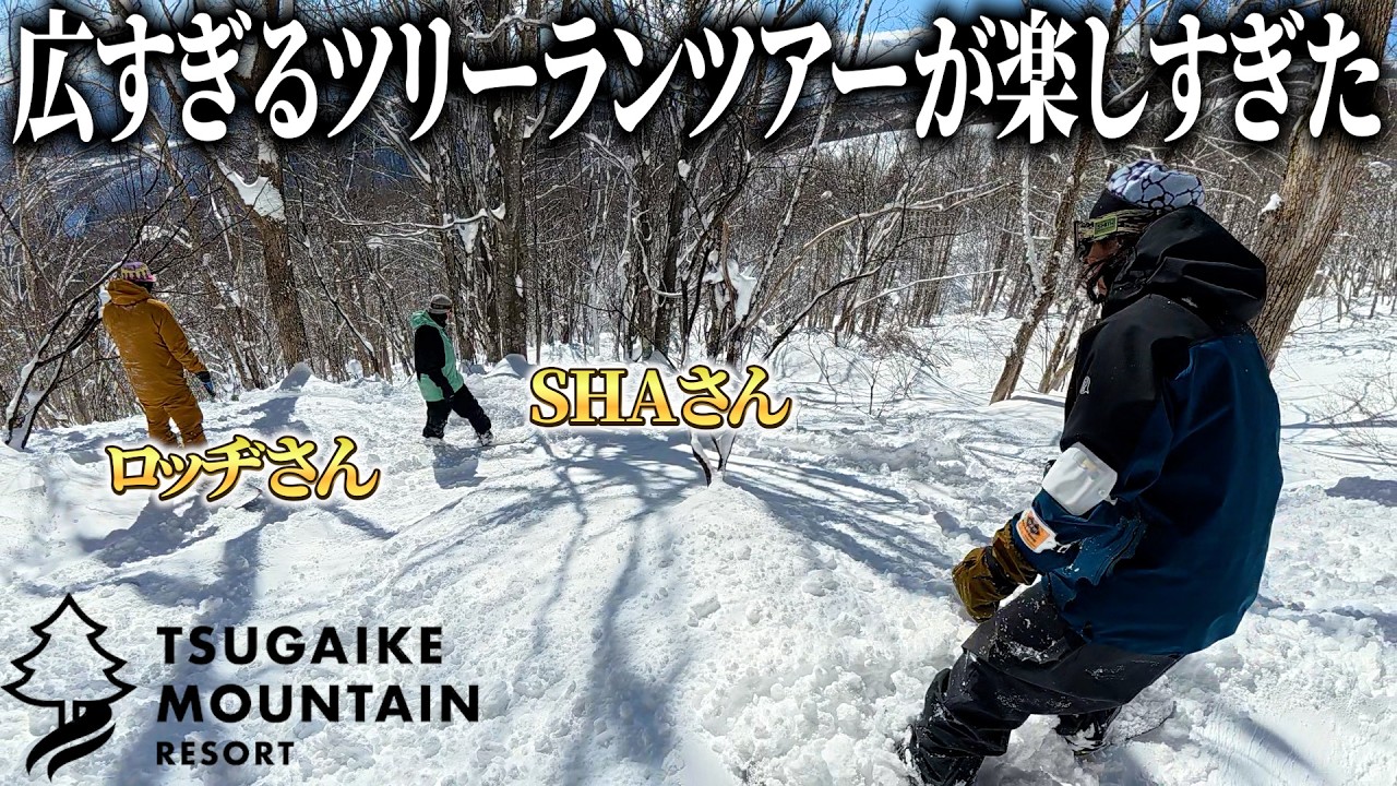 【栂池高原スキー場】広大すぎるツリーランを有名ローカルのお二人にアテンドしてもらいました