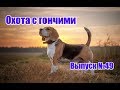 Охота с гончими | Выпуск №49 (UKR)