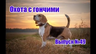 Охота с гончими, выпуск №49 (UKR)(www.nipnip.com.ua Страница 