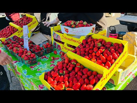Video: The Best Sacramento Farmers Markets