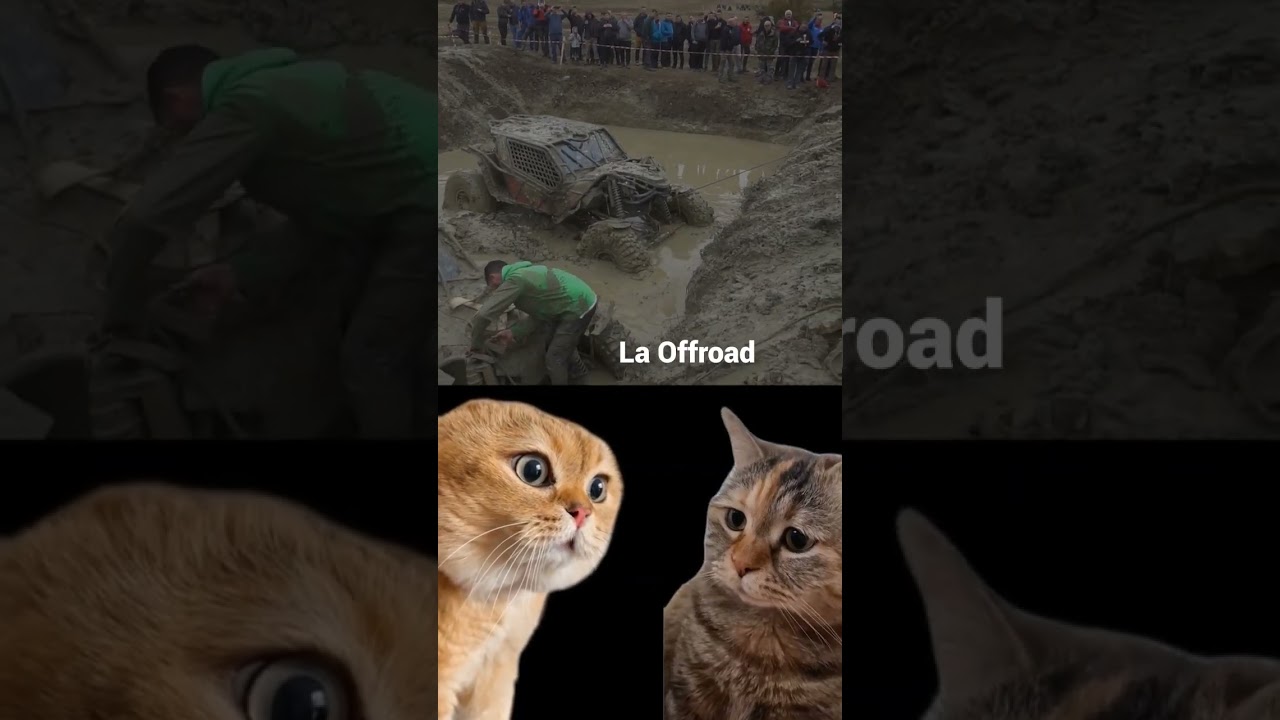 Ati fost la Offroad Noaptea? #offroad #offroad4x4 #noroi #masina #crash