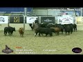 Idaho Futurity WOW $75k Am Champions - Tara Downs & Mister Metallic • 219