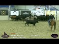 Idaho Futurity WOW $75k Am Champions - Tara Downs & Mister Metallic • 219