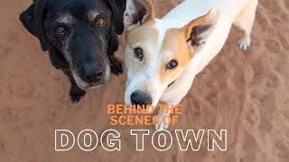 BTS: Welcome to Dogtown at Best Friends Animal Sanctuary