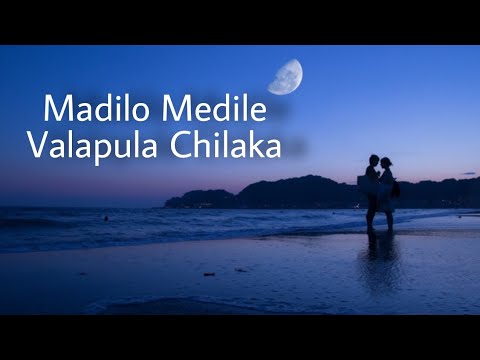 Madilo Medile Valapula Chilaka  telugusong   AnirudhRavichander