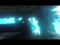 BLUEBLOODS spearfishing, chasing the blue III