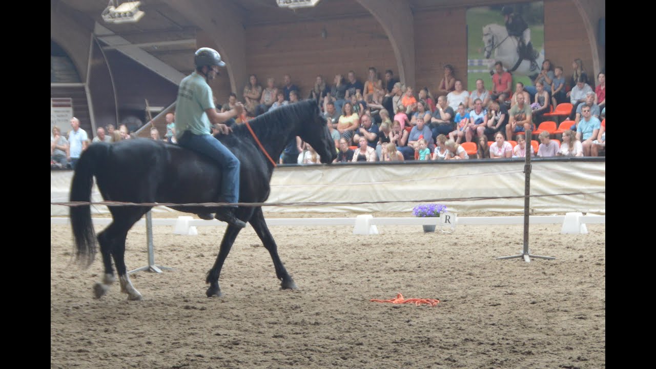 Demo bij Avinia staete - horsemanship