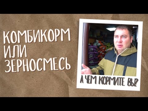 Video: TBM "Aile Sermayesi": incelemeler. KPK "Aile Başkenti": Moskova şubesi