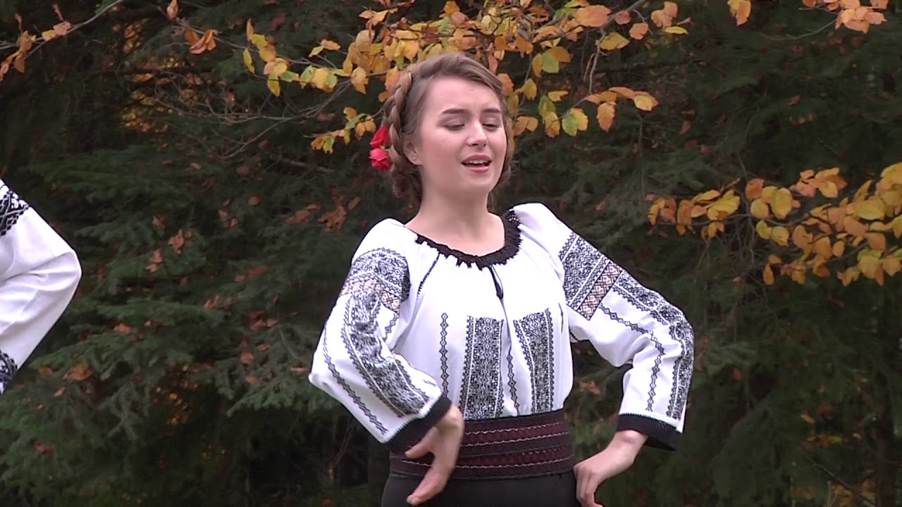 Larisa Oprea - Zi-i badiță cu vioara newsletter title