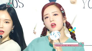 Apink 'YOS' - Love is Blind [Show! Music Core Ep 677]