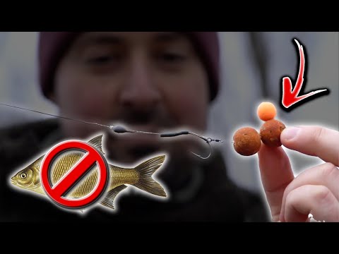 Avoid Bream Using This Carp Rig 👌🤔 