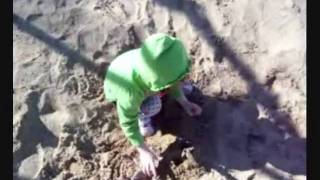Spring Fun In The Sun