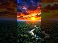 The Hidden Wonders of the Amazon Rainforest 🌎🐆