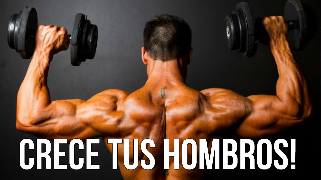Los 3 Mejores Ejercicios Para Hombro - YouTube