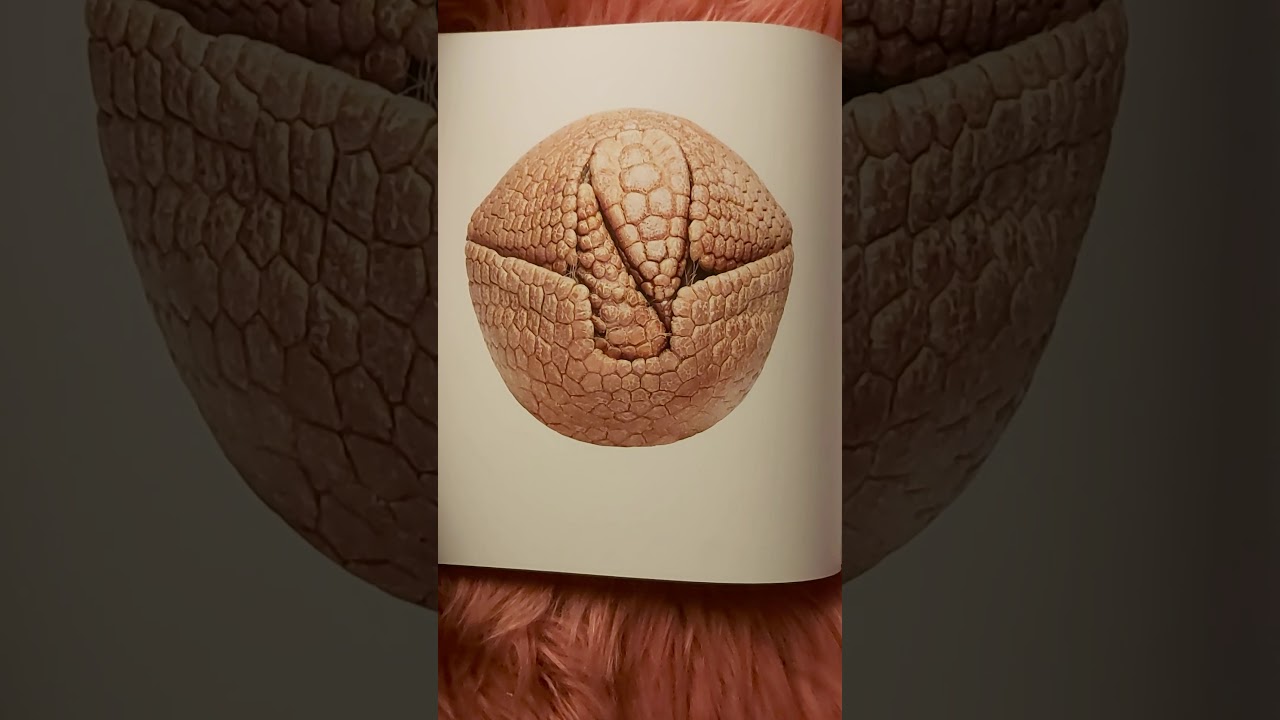 'Lori Vallow' Cox's niece Goddess in Training Melani Pawlowski REBOOT